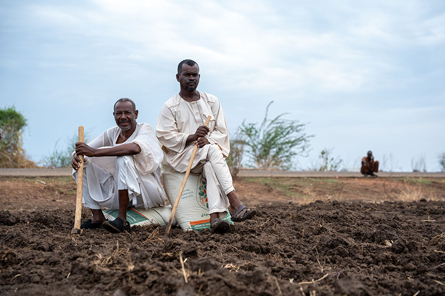 Two smallholder farmers in their field in Roweina village, hopeful for a successful season. 15 July 2025. Roweina village, South Al Jazirah locality, Al Jazirah State, Sudan. Photo credit FAO/Mohamed Ahmed.